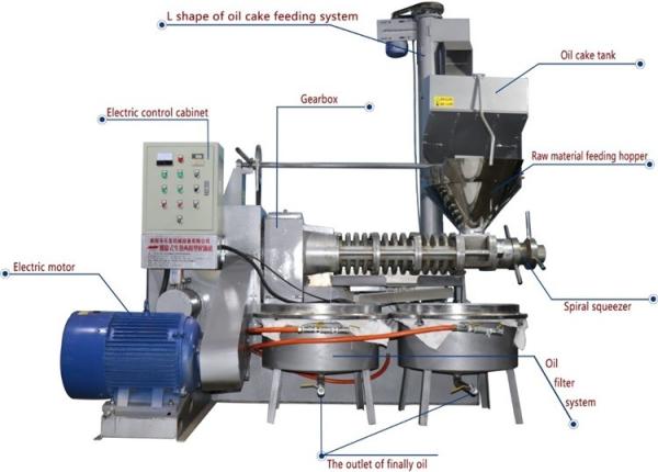 China Steel Screw Oil Press Machine , Fully Automatic Oil Processing Equipment factory