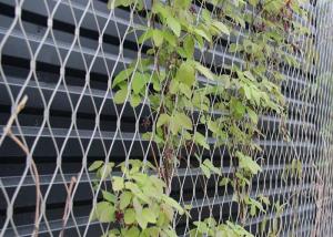 China X Tend Stainless Steel Cable Netting Wire Mesh Plant Trellis For Climbing Plants factory