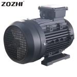 Energy-saving Hollow Shaft Single Phase Motor For Pressure Washer