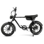 20 Inch Fat Tire Electric Bike 750 Watt Superb 73 Hot Aluminum Alloy Frame 48V