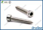 Stainless Steel Allen Socket Cap Sheet Metal Self-tapping Wood Screw
