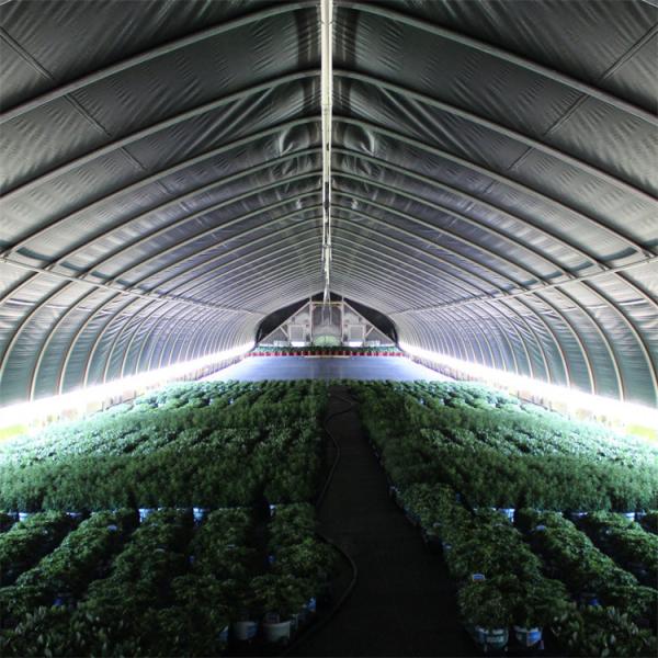 Automatic Ventilation Light Deprivation Greenhouse With UV Resistant Polyethylen