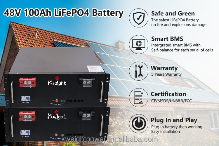 Pv Ups Energy Lithium Battery Module 51.2V Lifepo4 Lithium Battery Pack