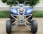Electric 8" Rim 250cc ATV Quad Bike 4 Wheel Motorbike With Manual Clutch