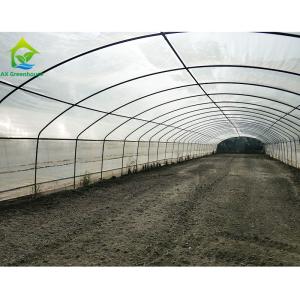 Commercial Single Span Poly Tunnel Greenhouse For Tomatoes