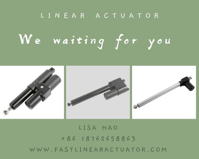 Big Force Linear Actuator With Precise Position Function 24volt Dc, 300mm Stroke, Ball Screw Type Actuator