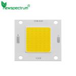 DC Integrated COB LED Module 50W CCT 6000K Led Street Light Module
