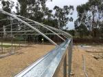 Cheap Tomato Agricultural Plastic Film Cover Low Cost Economic Tunnel Greenhouse