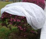 Fabric Fruit Protection Bags 250GSM