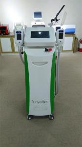 China Fat Cells Reduction Criolipolisis Fat Freezing Machine/slimming machine factory