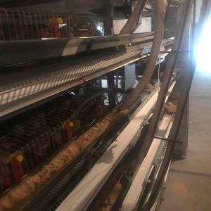 China 10 - 24 Cells Quail Cages 5 / Tiers Large Capacity No Corners / Sharp Edges factory
