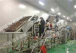 Professional Pear Chips Apple Processing Line 440V Turnkey Project