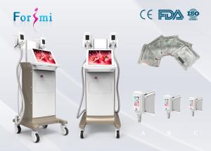 China fast fit weight loss 3.5 inch Cryolipolysis Slimming Machine FMC-I Fat Freezing Machine factory