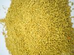 Pure Fresh Natural Rape Pollen Bee Product for Beekeeping Breeding