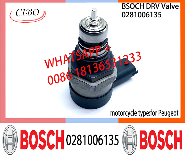 BOSCH DRV Valve 0281006135 Control Valve 0281006135 for Peugeot