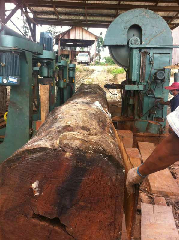 60 Inch Wood Cutting Vertical Bandsaw Mill With Log Carriage,Log Band Sawmill Machine
