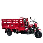 Tuk Tuk Chassis 250cc Zongshen Engine Hot Gasoline Cargo Tricycle for 5.0 Inch
