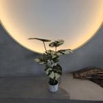 Insect Resistant Faux Monstera Tree 70-100cm For Low Maintenance Decor