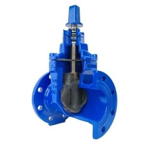 China Water Ductile Y Type Gate Valve with Flange Connection and Stainless Steel Material factory