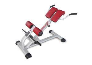 China Pro Commercial Gym Rack And Exercise Equipment Back Extension Bench factory