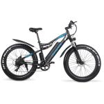 48V 17Ah 1000W Electric Fat Tire Bike 7 Speed Double Suspension Electric Bike