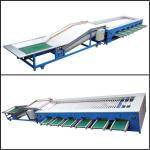 Peach Fruit Grading Machine