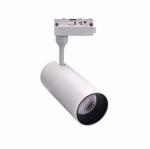 IP20 Waterproof Anti Glare LED Downlights , 10w Trimless Led Downlight
