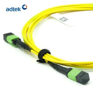 China 10 / 40G Female MPO MTP Patch Cord For Data Center factory