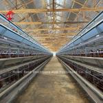 120 Birds Capacity Poultry Battery Cages Automatic A Or H Layer Farm Doris