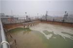Sequence Batch Reactor Food Processing SBR Wastewater Treatment