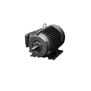China Crane Lifting Frame Cast Iron Electric Motor 100KW factory