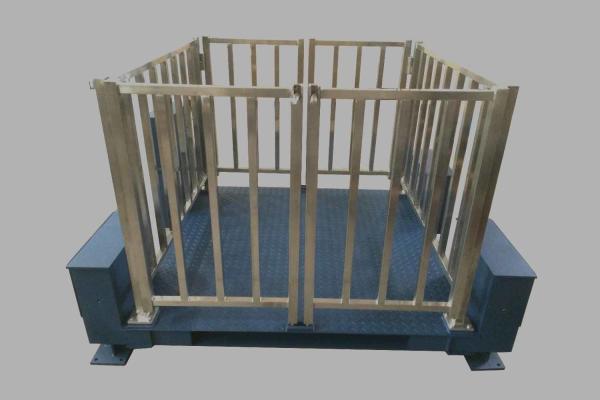 Carbon Steel / Stainless Steel Custom Weighing Scale,Livestock Weighing