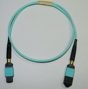 China Plenum Jacket Female MTP MPO Fiber Elite Cable Assembly factory