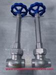 Handwheel Operation Cryogenic Long Shaft Globe Valve(stainless steel nut) Made