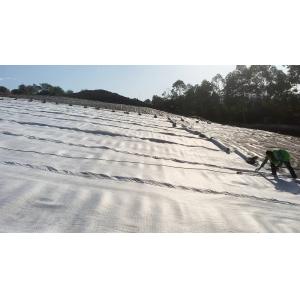 HDPE Geomembrane Liner for Mining & Hydrometallurgy