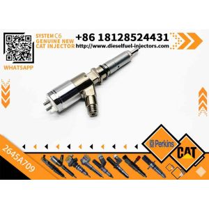 Excavator Parts C6 Engine Injector 320-0680 2645A709 295-9130 382-0480 282-0490