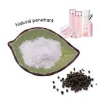 Antibacterial Black Pepper Extract Powder Piperine 98% Health Care High Purity