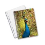 Good Quality Personalized 3D lenticular PET material Promotion Gift Spiral 3D