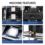 60cm DTF Printer Machine THK Silent Rail For PET Printing Media
