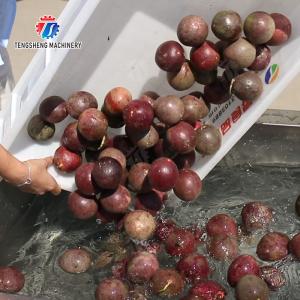 Revolutionize Your Production Process with Our Fruit And Vegetable Processing