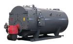 DZL Series Biomass Fired Steam Boiler 4 Ton Capacity High Safety Horizontal