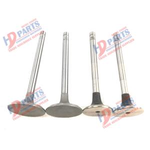China YN36GB2 Engine PISTON Valve 01628412 For KUBOTA factory