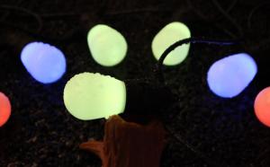 China LED RGB Multi Coloured Festoon Lights Waterproof Outdoor Decor String Light 25000H factory