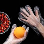 Disposable Plastic/PE Gloves