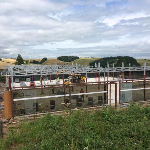 Bolt Connection Steel Prefabricated Houses Q355B Prefab Metal Houses