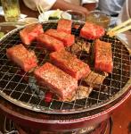 Crimped Outdoor Travel Disposable Bbq Mesh