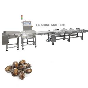 China Industry Automatic Weight Sorting Machine Conveyor Belt Chicken Shrimp Fruits Vegetables Weight Sorter factory