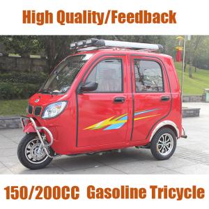 China 200CC Petro 3 Wheel Motorized Tricycle 5 Seater Passenger Auto Rickshaw factory