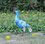 Seven Color Change 13 Inch 1.2W Peacock Solar Garden Light
