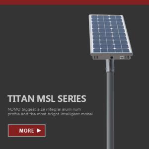 China solar max LED street lights with li fe po4 battery mppt controller 12.8v safe street lights factory